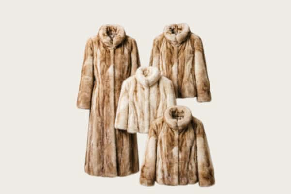 保定市安国回收皮草衣服